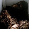 Найденный в США труп снежного человека оказался резиновым