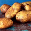 Медики: Картофель скрывает секрет лечения слабоумия