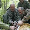 Путин подстрелил уссурийского тигра на глазах у журналистов