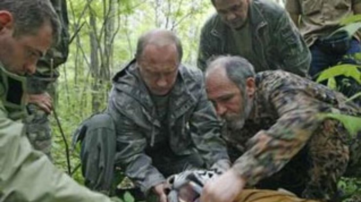 Путин подстрелил уссурийского тигра на глазах у журналистов