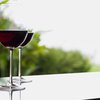 Красное вино снижает риск развития рака легких