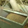 Экологический скандал в Киевской области