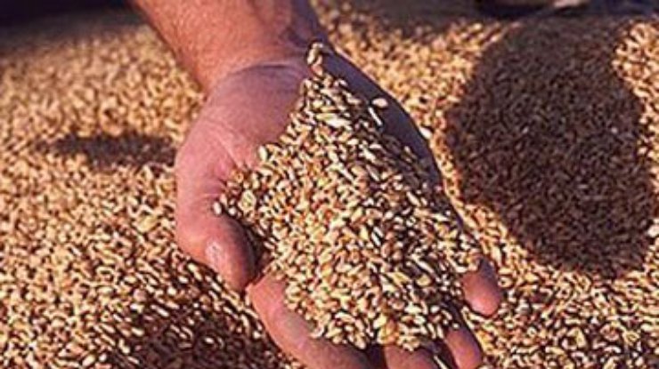 Высокий урожай привел к снижению цен на зерно