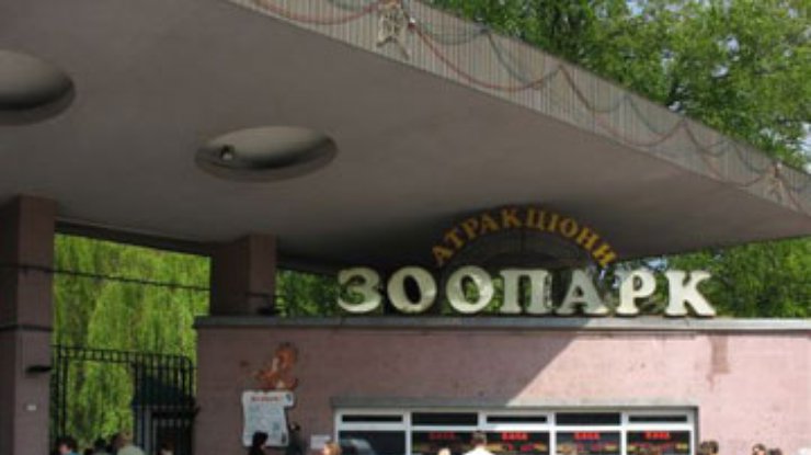Киевский зоопарк будет работать круглый год
