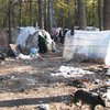 Возле Киева поселился цыганский табор