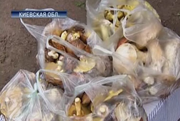 В Украине увеличилось количество случаев отравления грибами.