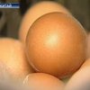 Китайцев травят молоком и яйцами