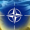 В Эстонии открылись консультации Украина-НАТО