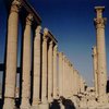 В Сирии найдена древняя церковь
