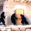 СМИ: "Аль-Каида" начала войну против Ирана