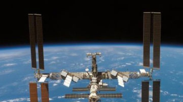 Космонавты случайно развели на МКС грибы
