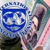 Кабмин нанимает консультантов для использования кредита МВФ