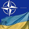 МИД: Украина де-факто получила ПДЧ