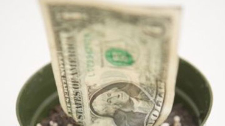 Доллар в обменниках вырос до 8,7 гривны