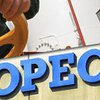 ОПЕК гарантирует стабильность на мировом рынке нефти