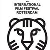 Сегодня в Роттердаме стартует кинофестиваль