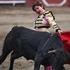 11-летний матадор установил рекорд, убив 6 быков за одну корриду
