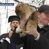 Сурок Тимка предсказал раннюю весну