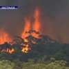 Лесные пожары в Австралии унесли уже 128 жизней