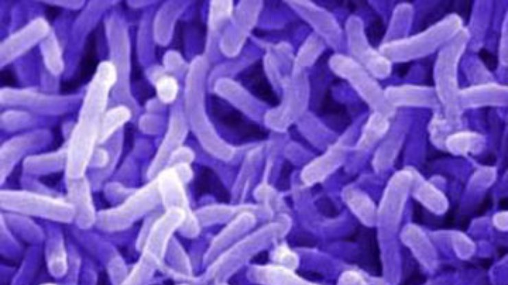 Число заболевших холерой в Зимбабве превысило 69 тысяч человек