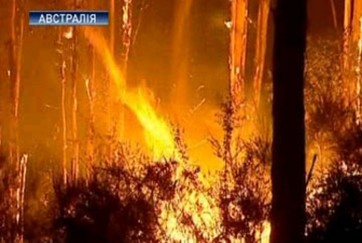 В Австралии число жертв лесных пожаров выросло до 181 человека