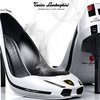 Компания Lamborghini представила женские туфли