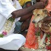 Полугодовалого индуса женили на собаке, чтобы спасти от проклятия