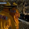В Австралии снова бушуют пожары