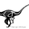 В Канаде нашли самого маленького хищного динозавра