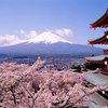 В Японии открыли сезон цветения сакуры