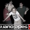 Guano Apes снова объединяются в группу