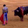 Из-за кризиса в Испании отказываются от корриды