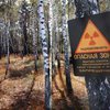 Правительство хочет сузить Чернобыльскую зону