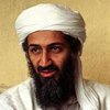 Участники голландского ток-шоу оправдали бен Ладена