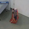 Самосожжение как путь возврата депозита