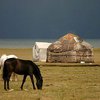 В Кыргызстане за изнасилование ребенка разгромили дома курдов