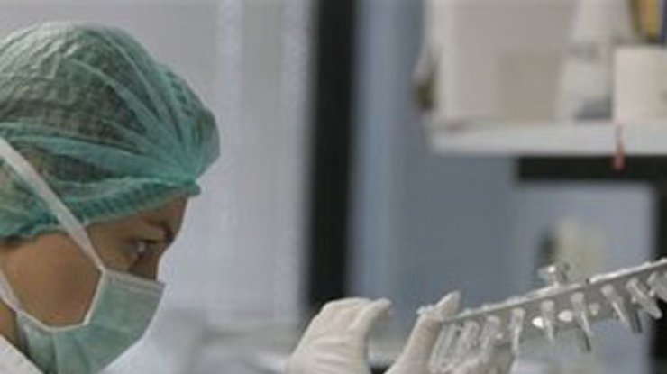В Украине создана спецгруппа по предотвращению вспышки свиного гриппа