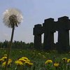 Количество погибших во Второй мировой  установить невозможно