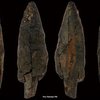 В Словении нашли уникальное деревянное орудие возрастом 40 тысяч лет