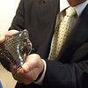 В Японии разработали эластичный OLED-экран