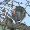 В Украину может вернуться смертная казнь