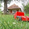 Чи захищає закон недоглянутих дітей?