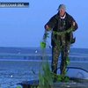 Браконьерство достигло небывалых масштабов