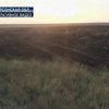 В заповеднике "Аскания-Нова" выгорело 200 гектаров степи