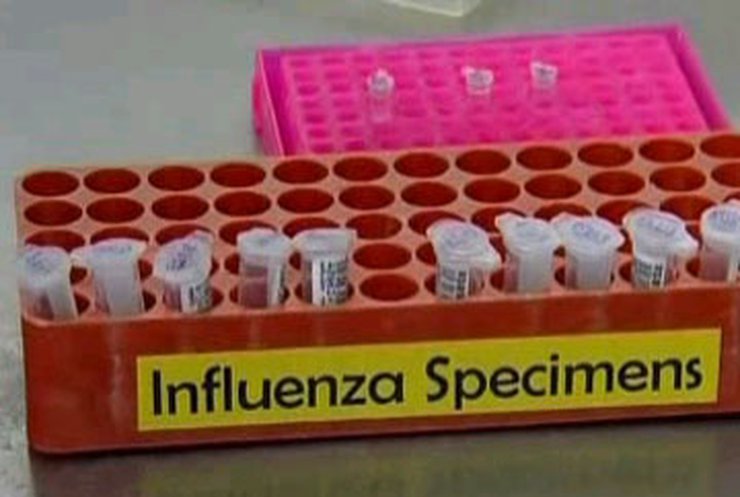 Пандемия гриппа H1N1 продлится 2 года