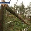 МЧС: Последствия урагана на Волыни почти ликвидированы