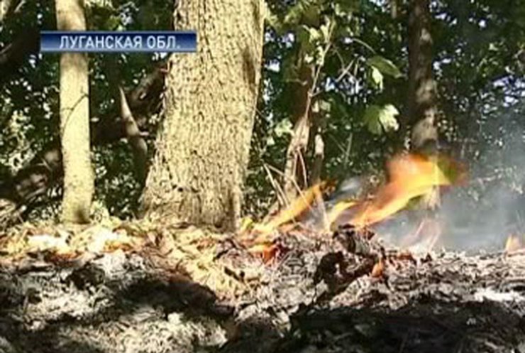 В Луганской области горят леса