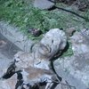 В канализации Луцка нашли бюсты вождей коммунизма