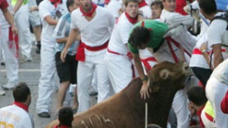 В Испании на фестивале бык убил человека