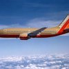 В США благополучно сел Boeing-737 с пробоиной